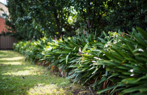 Tumut Hotel | Merivale Motel