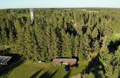 Puskaru Apartment | Metsjärve apartments