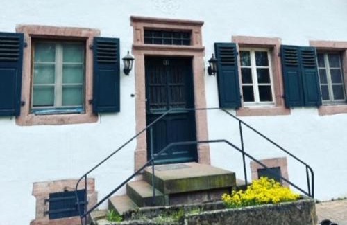 Muritz Apartment | Metzlinschwander Hof