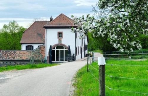 Muritz Apartment | Metzlinschwander Hof
