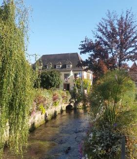 Niederbronn-les-Bains Apartment | Meublés du 25 N3 Studio 1er Etage