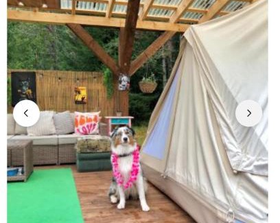 Haljala Parish Other | Miami Jungle Glamping