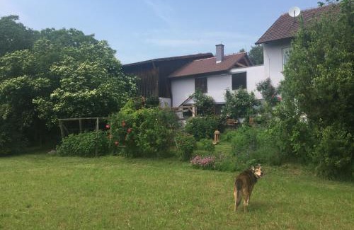 Bonnigheim House | Michaelsbergblick