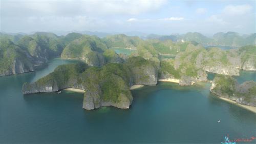 Cat Hai Boat Rental | Midori Preminum Cruise in Ha Long Bay