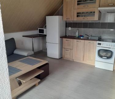 Wisla Mala Apartment | Mieszkanie B Łowiczki