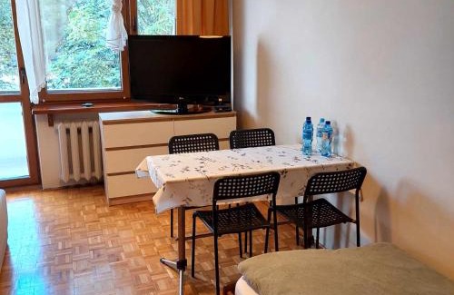 Olkusz Apartment | Mieszkanie na Mickiewicza 7