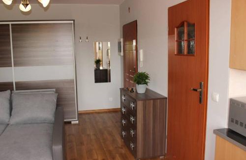 Dobrzen Wielki Apartment | Mieszkanie na uboczu Dobrzeń Wielki