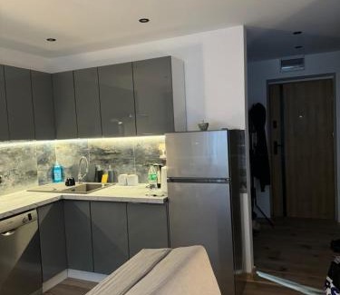 Ruda Slaska Apartment | Mieszkanko W Sam Raz