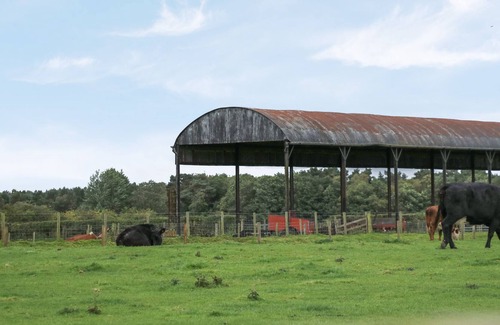 Wing Cabin | MILECASTLE, family friendly, with a garden in Brampton, Cumbria