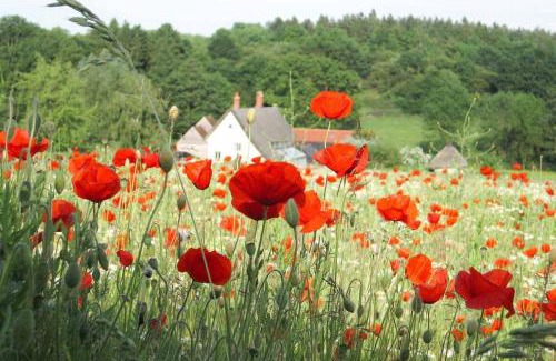 Assington House | Mill Cottage set beside a Mill pond in a 70 acre Nature Reserve Bliss