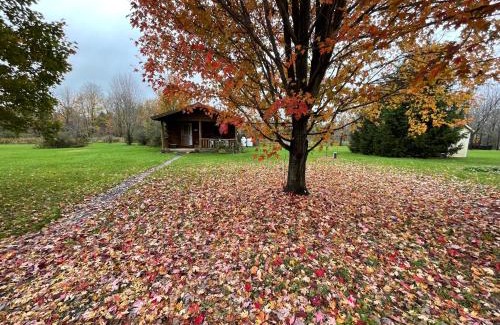 Lodi Cabin | Mill Creek Cabins