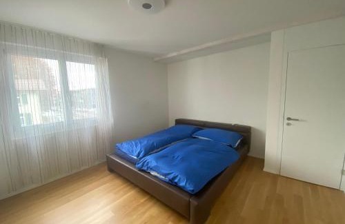 Rickenbach Apartment | Minergie