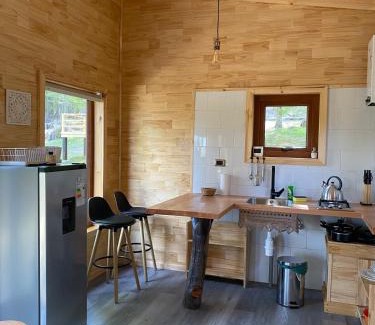 Rio Ibanez House | Mini Casa a 6 kilómetros de Villa Cerro Castillo Aysen Carretera Austral
