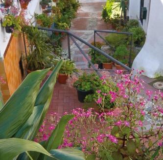 Velez de Benaudalla Apartment | MIRADOR DEL VALLE