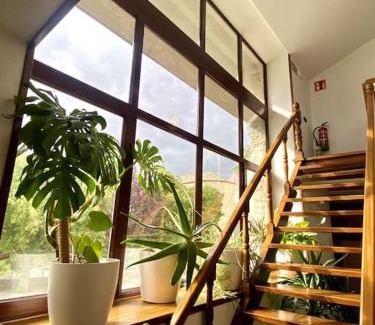 Goni House | Mirenetxea
