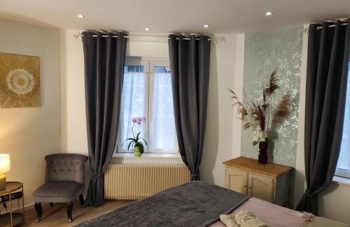 Colmar Apartment | Mirka & Franck AIRCON Apartment Chic 4" Stars Parking Free, Garage & Wine with Avantages Pack