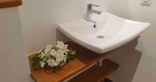 Rangiroa Bed & Breakfast | Moana Breeze Rangiroa - Rental car included - Air conditioning - WI-Fi