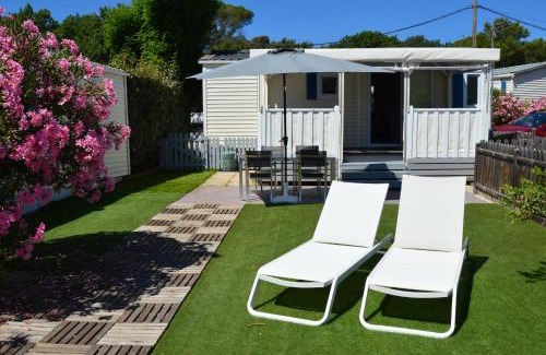 Puget-sur-Argens Apartment | Mobil Home 4 personnes