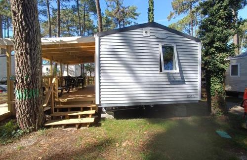 Pierrefitte-Nestalas Other | Mobil'home PMR sous les pins !
