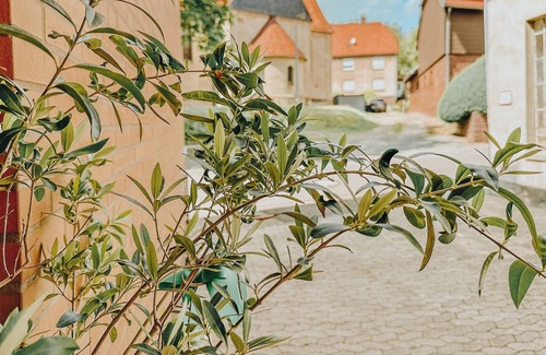 Kaierde Apartment | Modern 1 Bedroom Apartment With Terrace, Ideal for Nature and Biking Lovers
