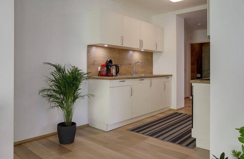 Muhlbachl Apartment | Modern Apartment "Habicht" with Wi-Fi, Garden and Terrace
