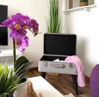 Altstaetten Apartment | Modern apartment in a charming old town setting