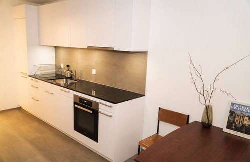 Iselin Apartment | Modern apartment in Basel with free BaselCard