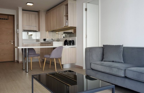 Temuco Apartment | Modern Apartment with Rooms in Suites in Downtown Temuco