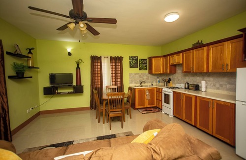 Basseterre Apartment | Modern Comfort: Private 1BR In Basseterre