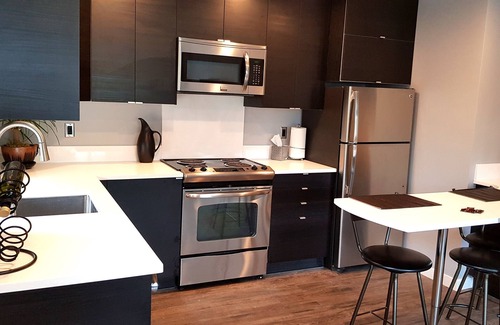 Northeast Bellevue Condo | Modern condo near Microsoft for business and leisure travelers