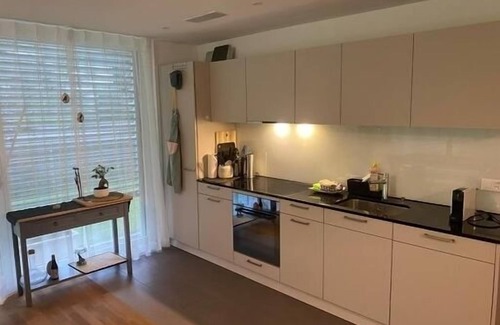 Seedorf Apartment | Modern Condo with fenced yard, near lake, hiking trail and ski retreat