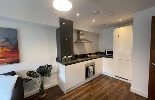 Bordesley Apartment | Modern Spacious 1 Bed Flat In Birmingham City Centre With Free Parking, Fast Free WiFi And Netflix