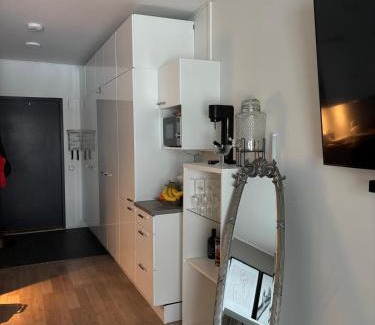 Jarvenpaa Apartment | Modern studio apartment near the station