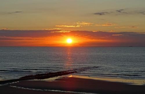 Raversijde Apartment | Modern studio direct Seaview & free parking