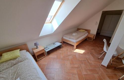 Archlebov House | Modrá Hortenzie