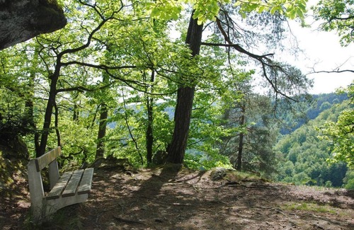 Pfarrkirchen im Muehlkreis Apartment | Mohnblumen Studio, 2 Personen - Gästehaus Pension Lang