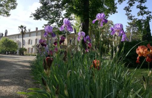 Loupia Bed & Breakfast | Mon Petit Soulié