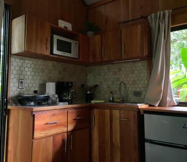Monterrey Apartment | Monkey House, Monterrey