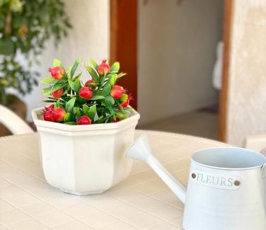 San Leonardo House | Monolocale bouganville - Lo Stagnone Isole Egadi