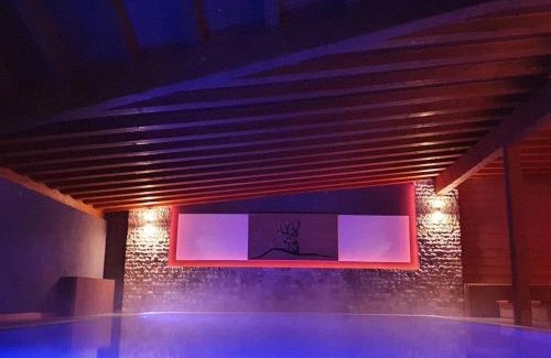 Covasna Hotel | Monte Cervo Bio Hotel & Spa
