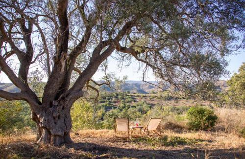 Malhao House | Monte Oliva - Turismo Rural