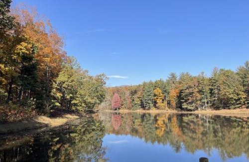 Crozet Resort | Montfair Resort Farm