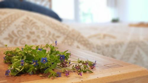 Loiri Porto San Paolo House | Montilisciu Cottage