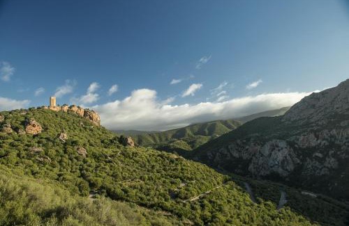 Santa Maria Coghinas Apartment | MONTIRUJU Residence