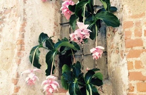 Pavia Apartment | Mood Siro Comi