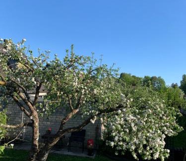 Parnu House | Mooni Cottage