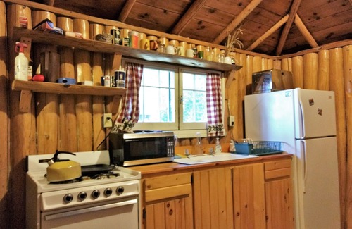 Ely Cabin | Moose Cabin at Wilderness Wind near Armstrong Lake near Ely, MN
