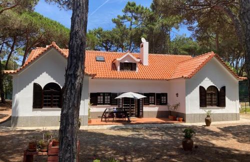 Mucifal House | Moradia no Pinhal com Piscina - Espaço e Privacidade para as suas Férias!