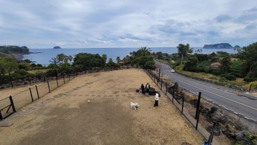 Seogwipo City House | morutee stay