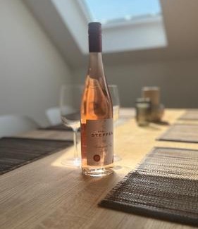Schweich Apartment | Mosel Home Apartments - Netflix - modern & zentral